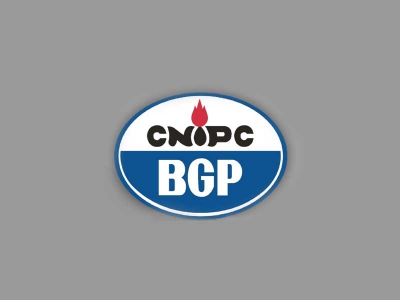 cnipc-bgp-company-51767